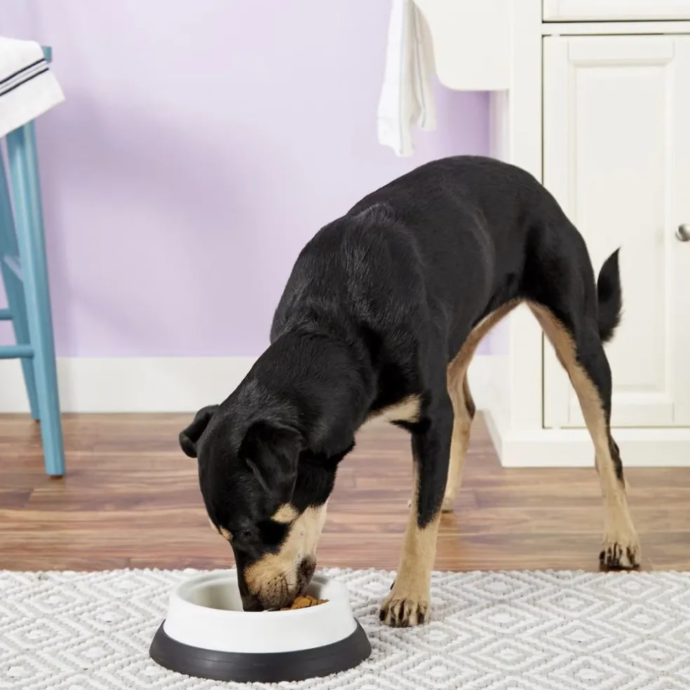 JW Pet Skid Stop Heavyweight Dog Bowl, Assorted Colors