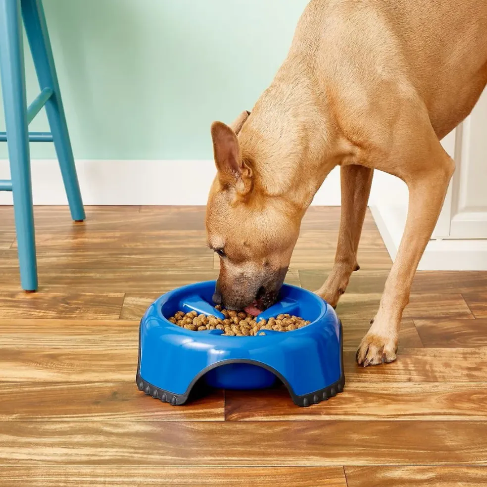 JW Pet Skid Stop Slow Feed Dog Bowl, Assorted Colors