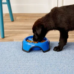 JW Pet Skid Stop Slow Feed Dog Bowl, Assorted Colors