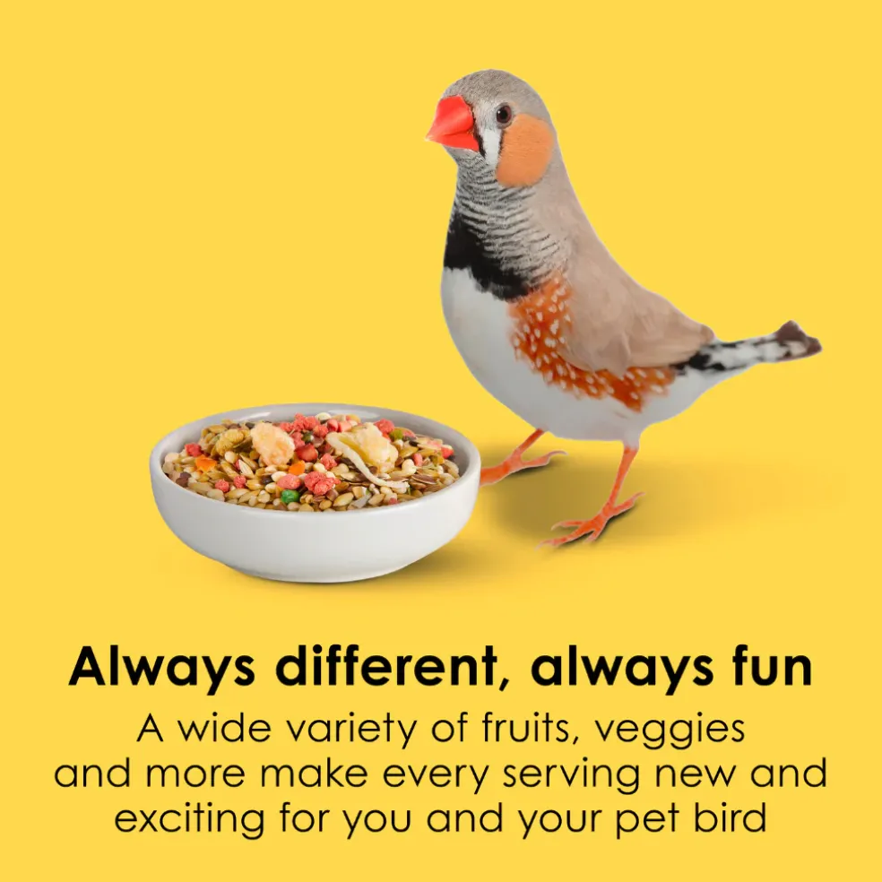Kaytee Fiesta Canary & Finch Bird Food (2 lb)