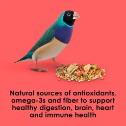 Kaytee Fiesta Canary & Finch Bird Food (2 lb)