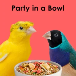 Kaytee Fiesta Canary & Finch Bird Food (2 lb)