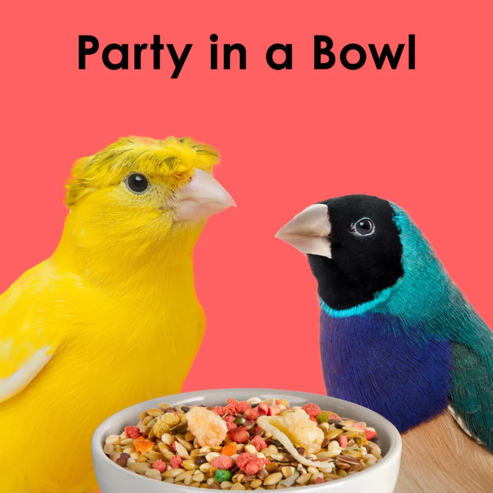 Kaytee Fiesta Canary & Finch Bird Food (2 lb)