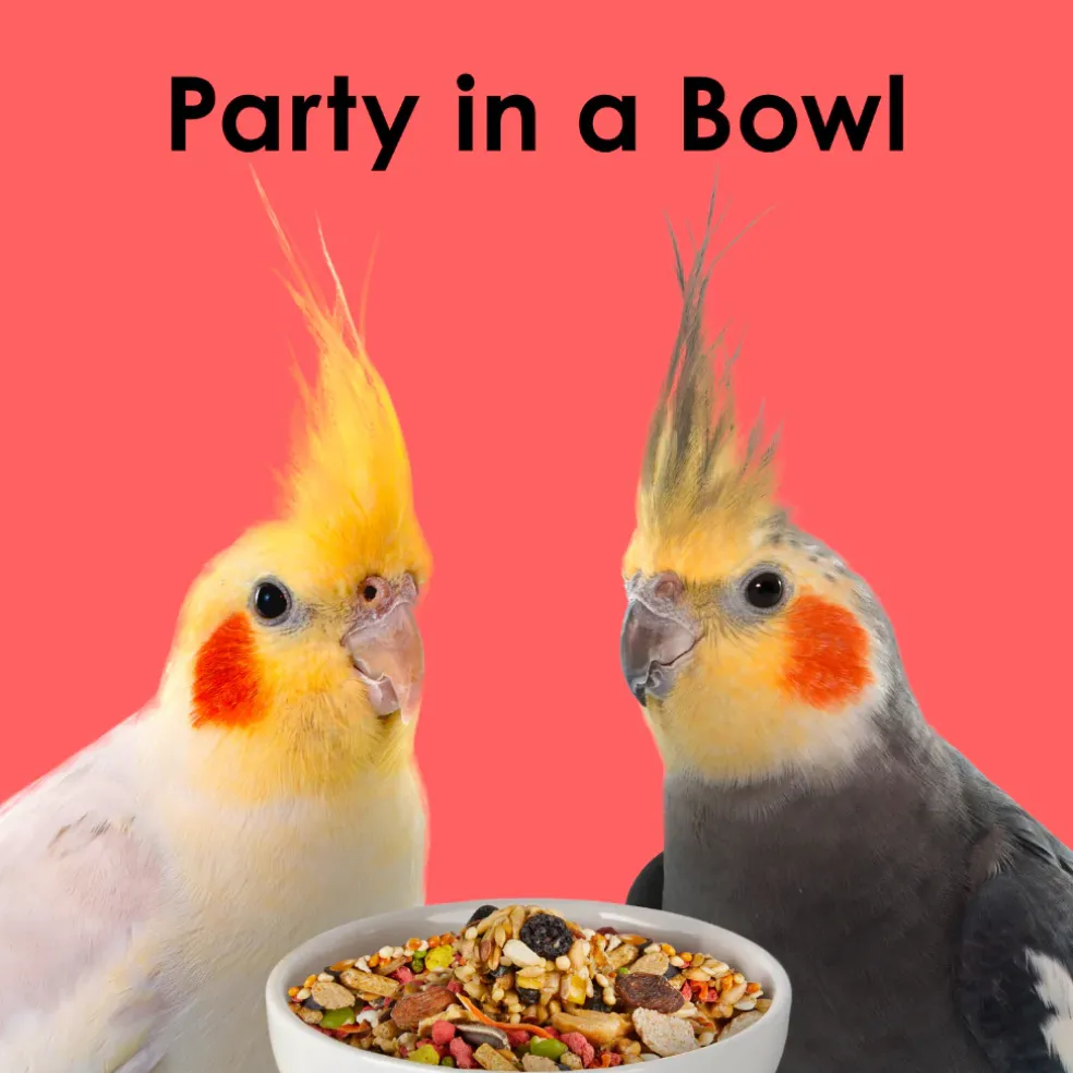 Kaytee Fiesta Cockatiel Bird Food