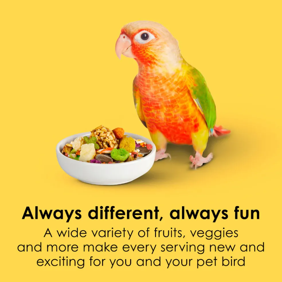 Kaytee Fiesta Conure Bird Food (4.5 lb)