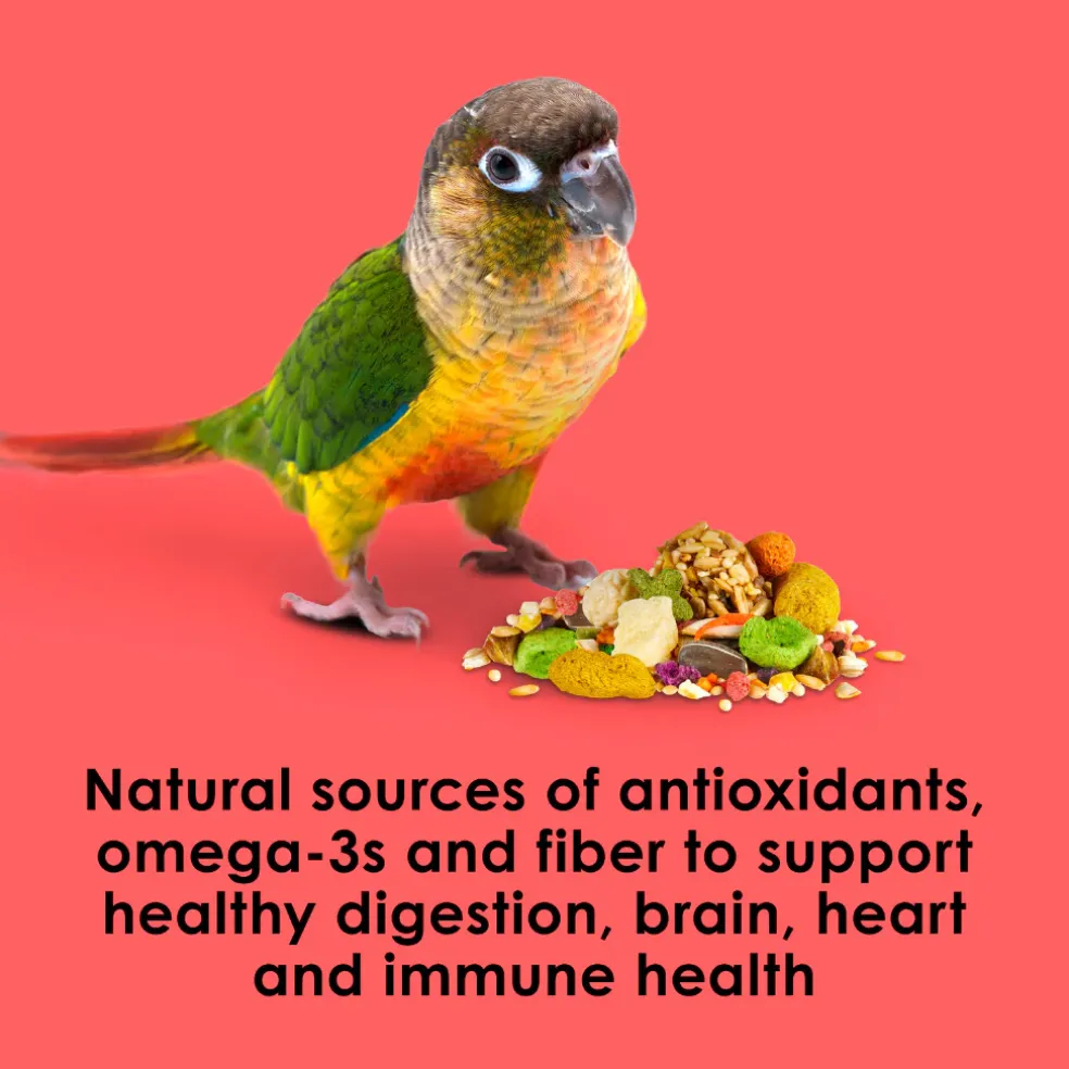 Kaytee Fiesta Conure Bird Food (4.5 lb)