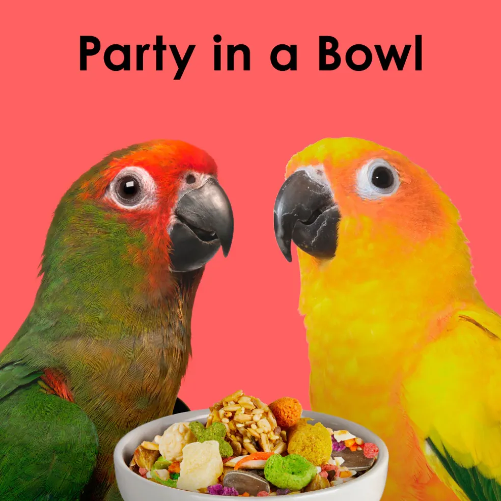 Kaytee Fiesta Conure Bird Food (4.5 lb)