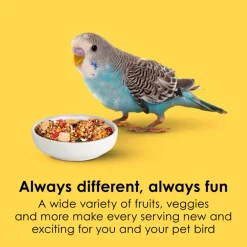 Kaytee Fiesta Parakeet Bird Food (2 lb)