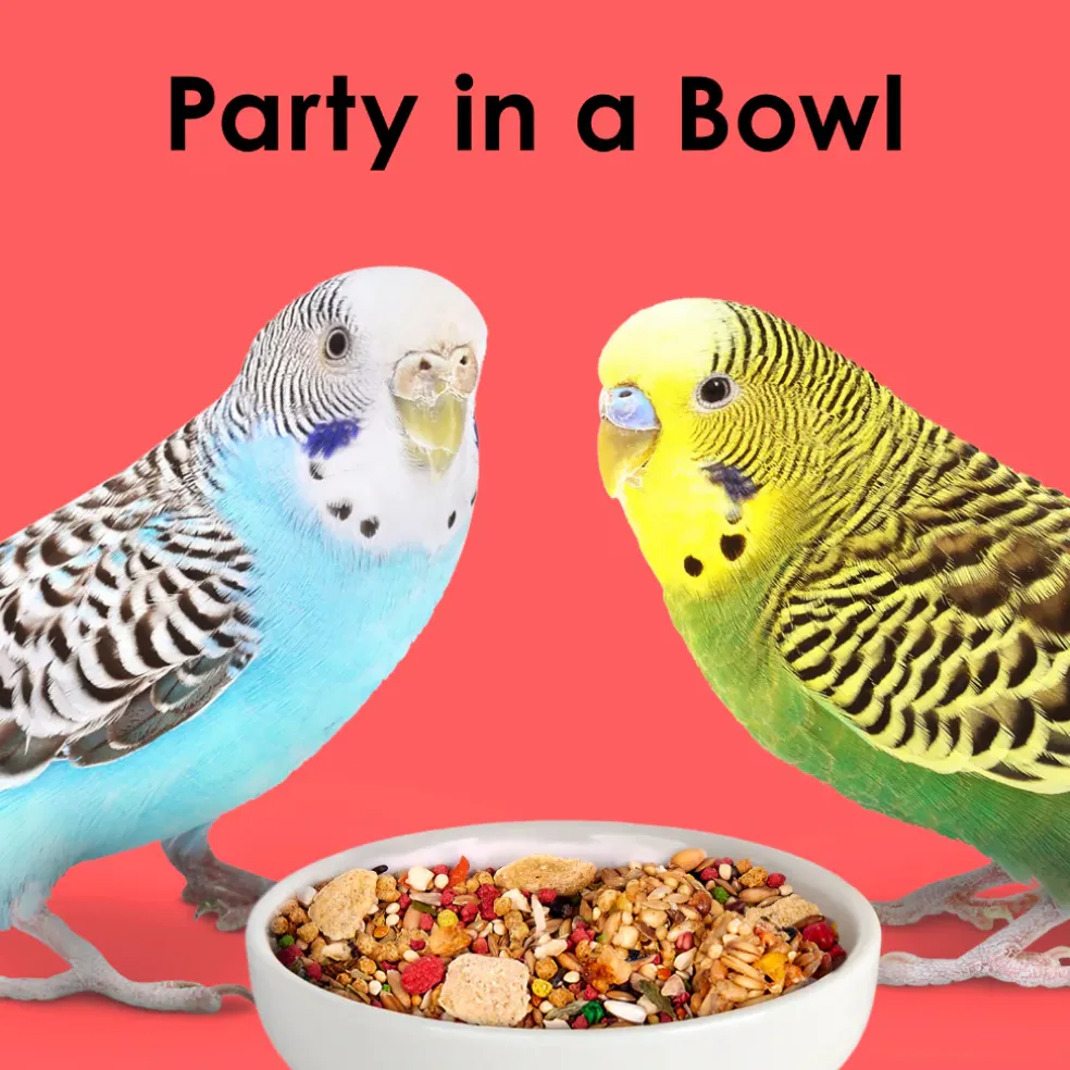 Kaytee Fiesta Parakeet Bird Food (2 lb)