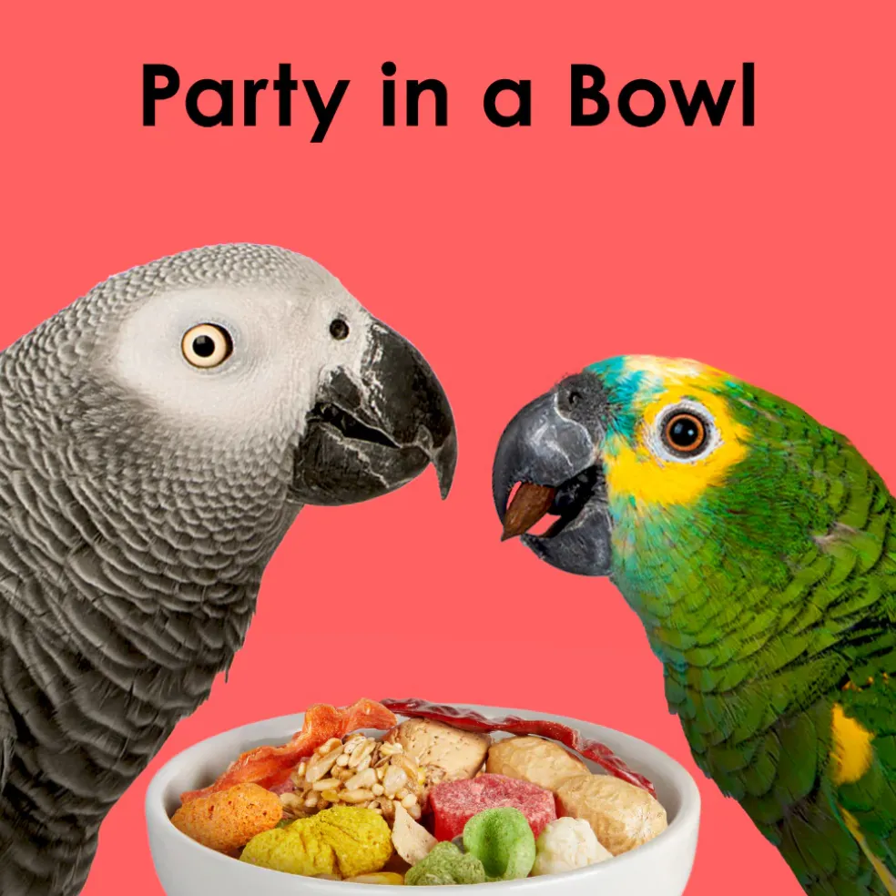 Kaytee Fiesta Parrot Bird Food