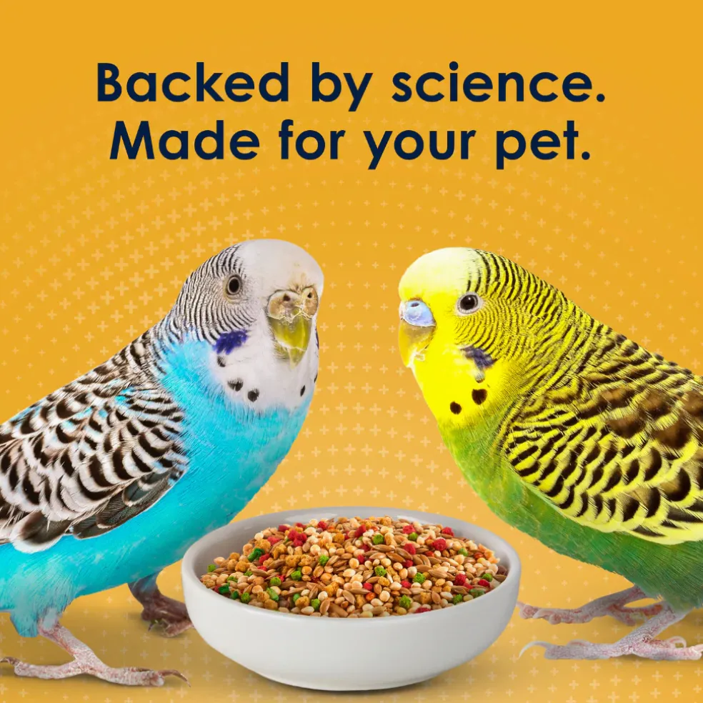 Kaytee Forti-Diet Pro Health Egg-Cite! Parakeet Bird Food (5 lb)