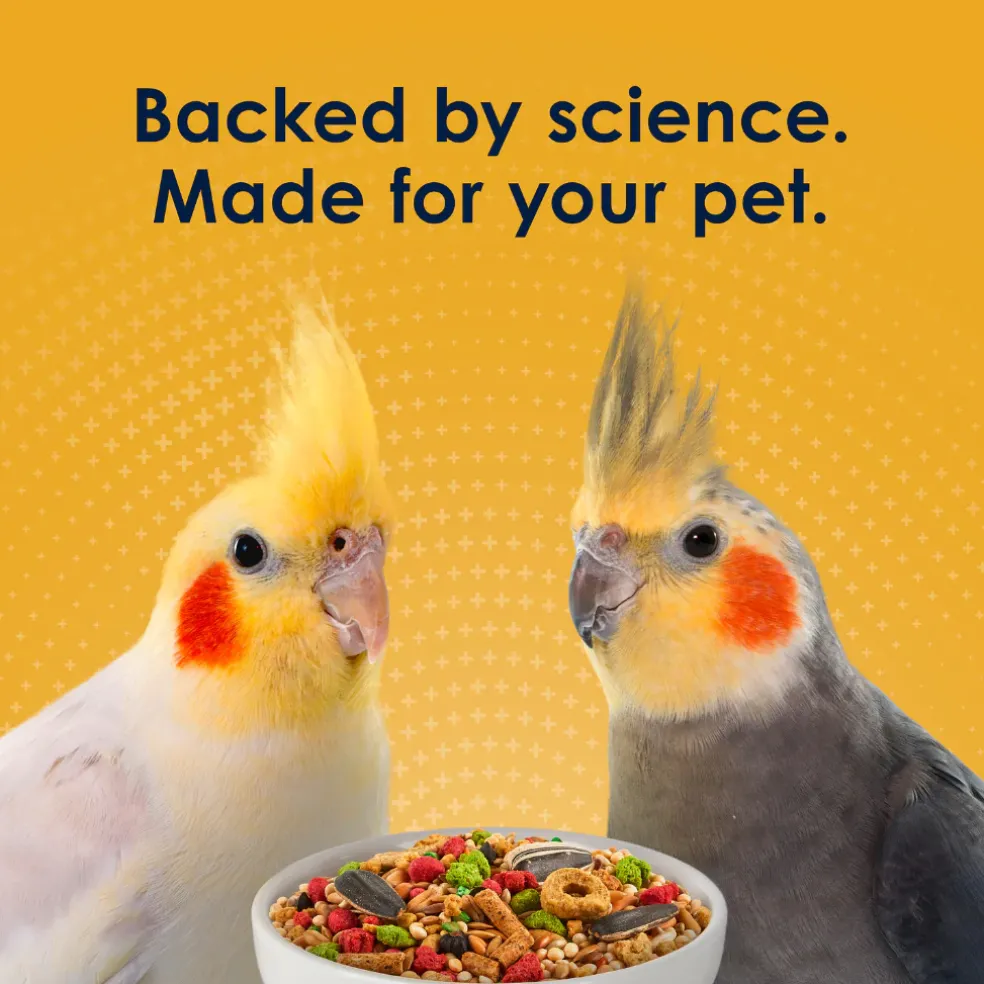 Kaytee Forti-Diet Pro Health Egg-Cite! Cockatiel Bird Food (5 lb)