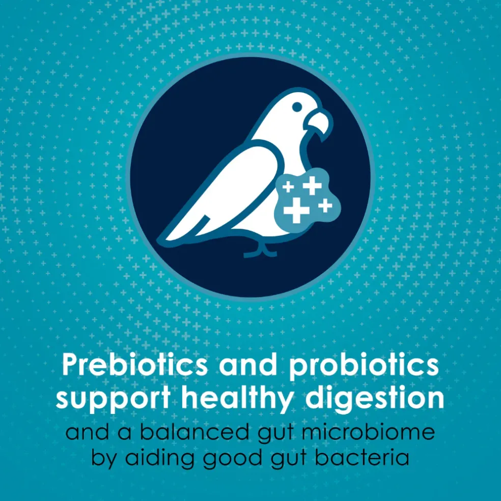 Kaytee Forti-Diet Pro Health Nourish+Protect Canary & Finch Bird Food (2 lb)