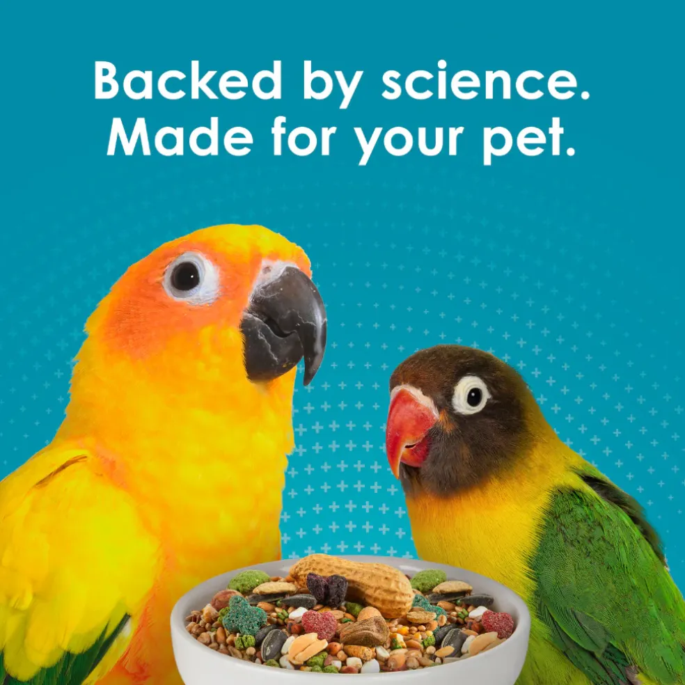 Kaytee Forti-Diet Pro Health Nourish+Protect Parakeet Bird Food