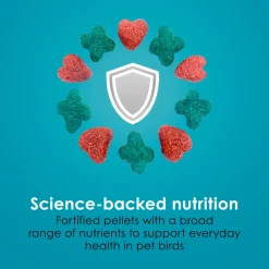 Kaytee Forti-Diet Pro Health Nourish+Protect Conure & Lovebird Bird Food (4 lb)