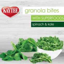 Kaytee Granola Bites Bird Treats (4.5 oz)