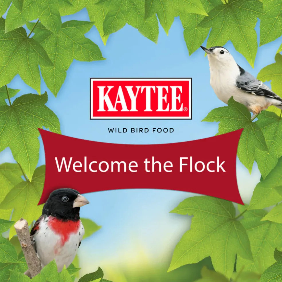 Kaytee Honey Seed Treat Bell for Wild Birds (1 lb)