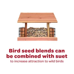 Kaytee Honey Seed Treat Bell for Wild Birds (1 lb)