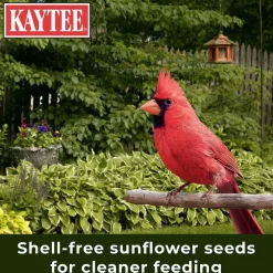 Kaytee No Mess Waste Free Blend Wild Bird Food