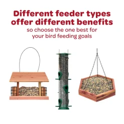 Kaytee Nut & Fruit Treat Bell for Wild Birds (15 oz)