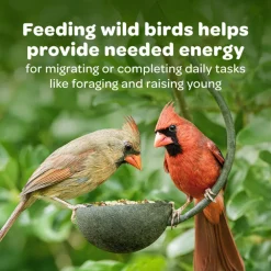 Kaytee Nut & Fruit Treat Bell for Wild Birds (15 oz)