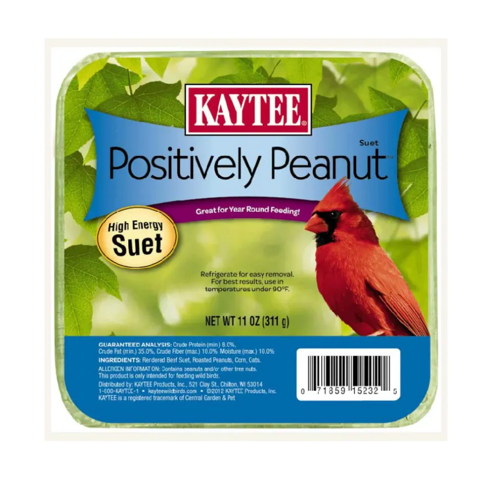 Kaytee Positively Peanut High Energy Suet for Wild Birds (11 oz)