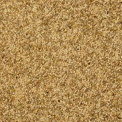 Kaytee Supreme Parakeet Bird Food (5 lb)