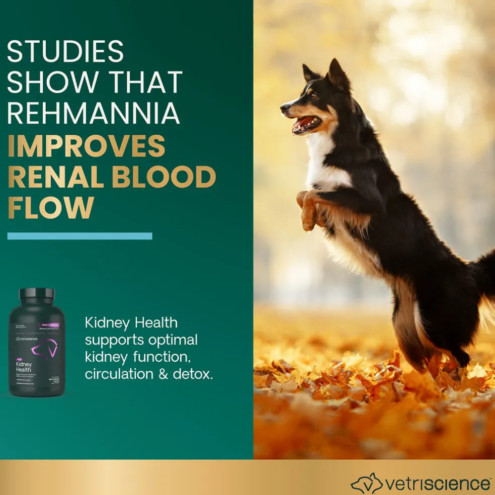 Kidney Health Tablets for Dogs