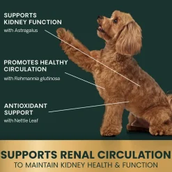 Kidney Health Tablets for Dogs