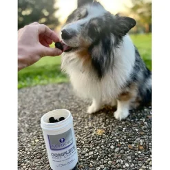 Kinetic Vet Complete Joint Support Soft Chews for Dogs (120 count)