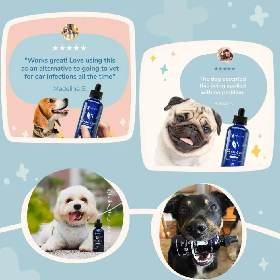 kin+kind Clean Ears Leave-In Relief for Dogs (4 oz)