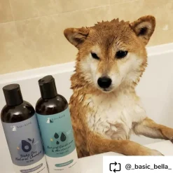 kin+kind Itchy Dog Tea Tree & Grapefruit Shampoo for Dogs (12 oz)