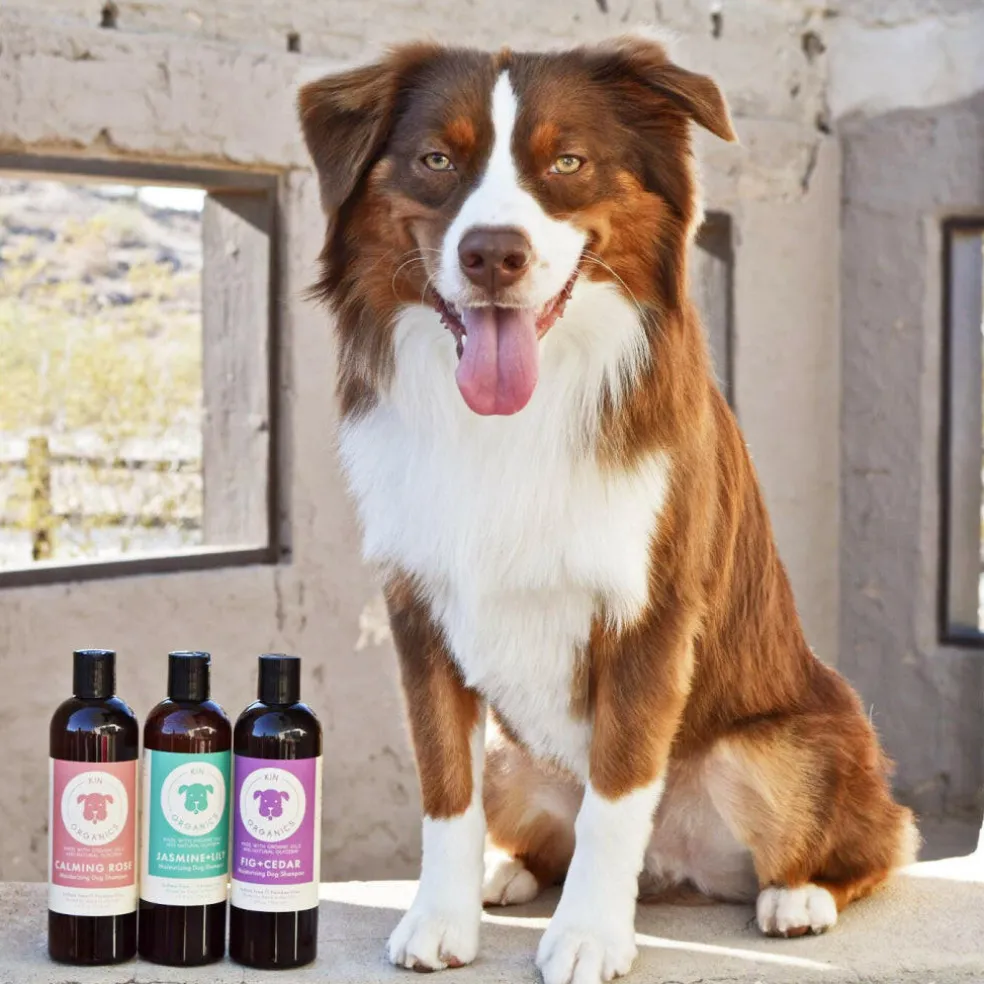kin+kind Itchy Organics Calming Rose Shampoo for Dogs (12 oz)