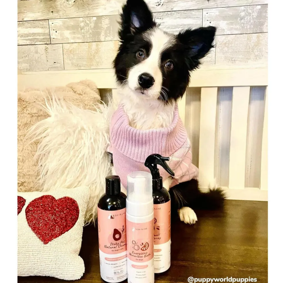 kin+kind Itchy Pet Rosemary Shampoo for Cats & Dogs (12 oz)