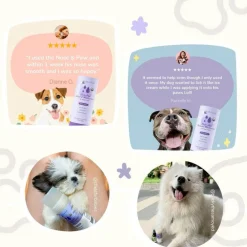 kin+kind Nose & Paw Natural Moisturizer Stick for Dogs & Cats (2.3 oz)