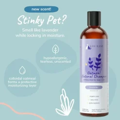 kin+kind Oatmeal Natural Lavender Shampoo for Dogs & Cats (12 oz)