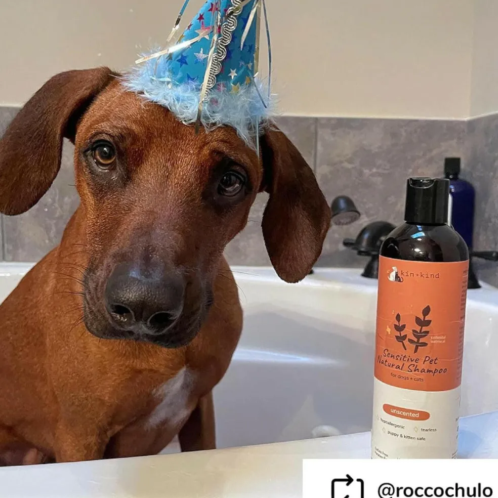 kin+kind Sensitive Skin Natural Unscented Oatmeal Shampoo for Dogs, Puppies, Cats & Kittens (12 oz)
