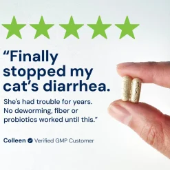 Kitty Biome GMP Gut Maintenance Plus Triple Action for Cats, 60 small capsules
