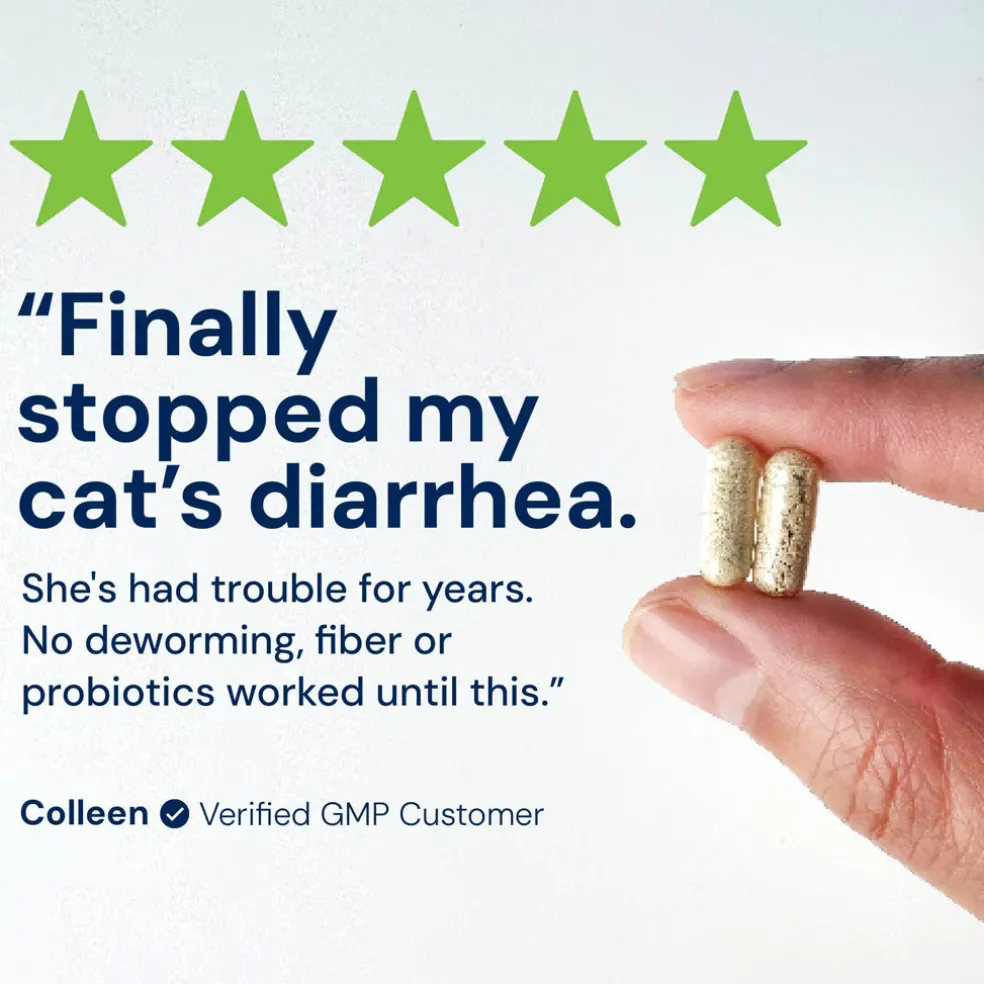 Kitty Biome GMP Gut Maintenance Plus Triple Action for Cats, 60 small capsules