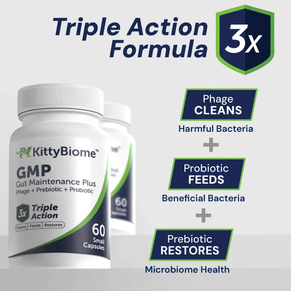 Kitty Biome GMP Gut Maintenance Plus Triple Action for Cats, 60 small capsules