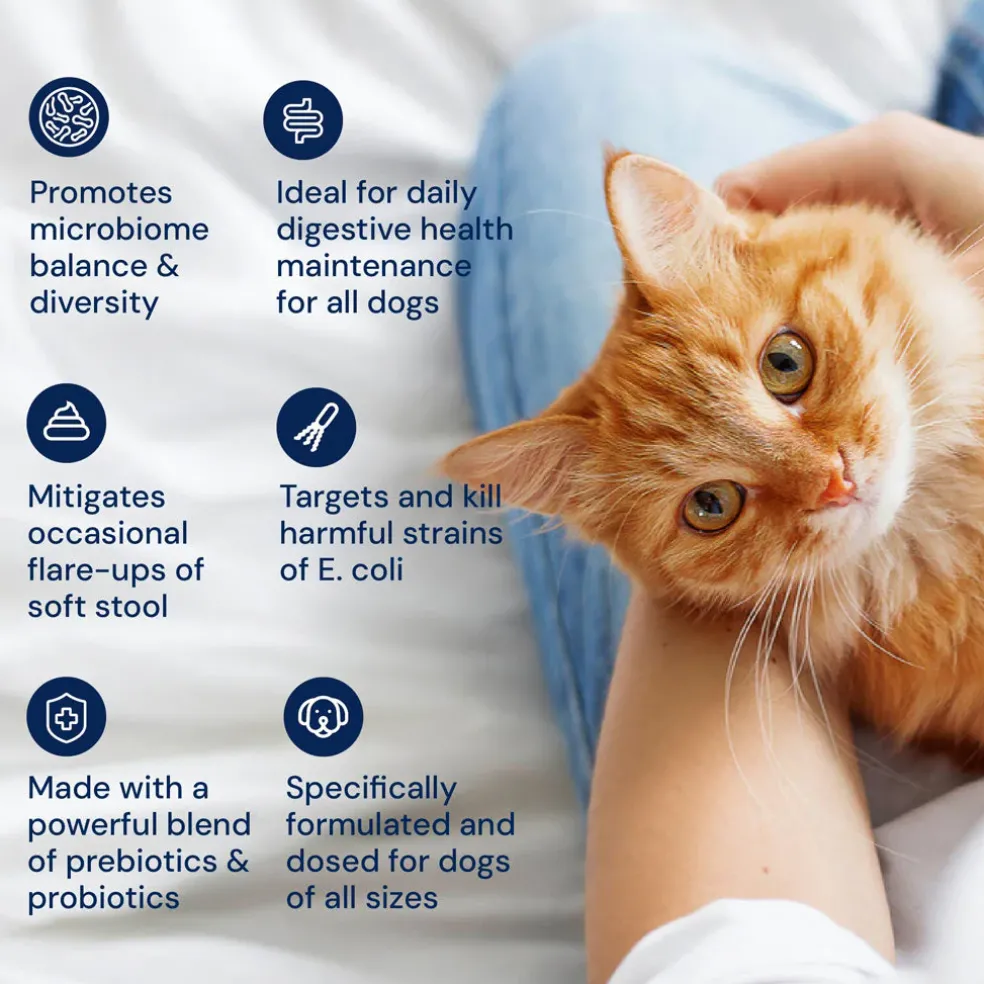 Kitty Biome GMP Gut Maintenance Plus Triple Action for Cats, 60 small capsules