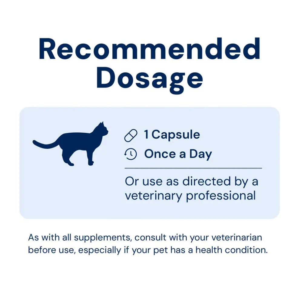 Kitty Biome GMP Gut Maintenance Plus Triple Action for Cats, 60 small capsules