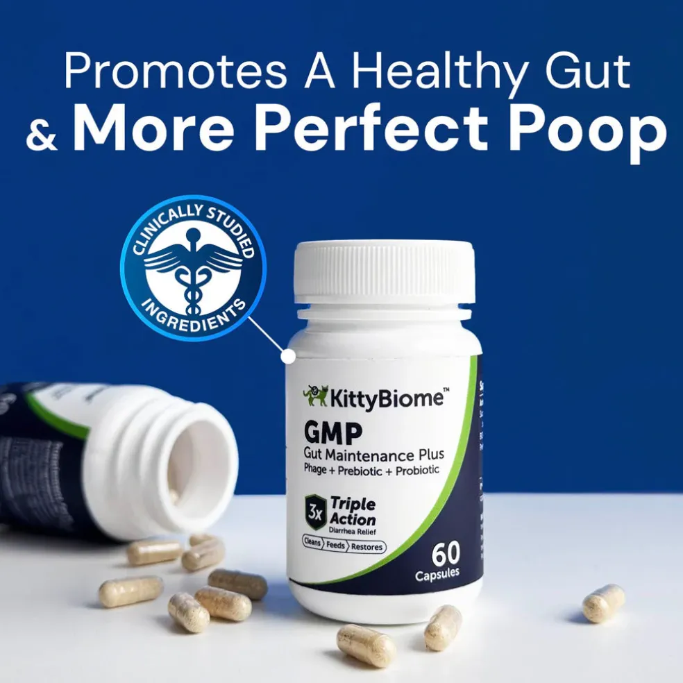 Kitty Biome GMP Gut Maintenance Plus Triple Action for Cats, 60 small capsules