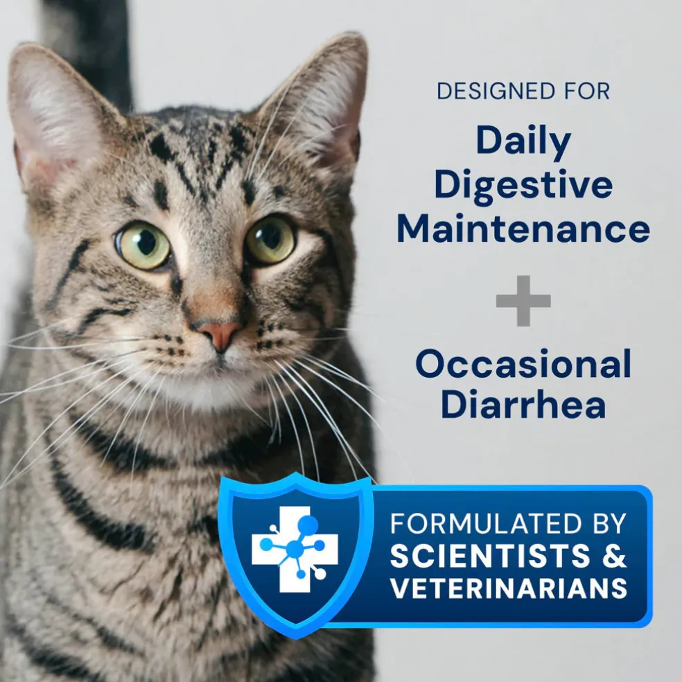 Kitty Biome GMP Gut Maintenance Plus Triple Action for Cats, 60 small capsules