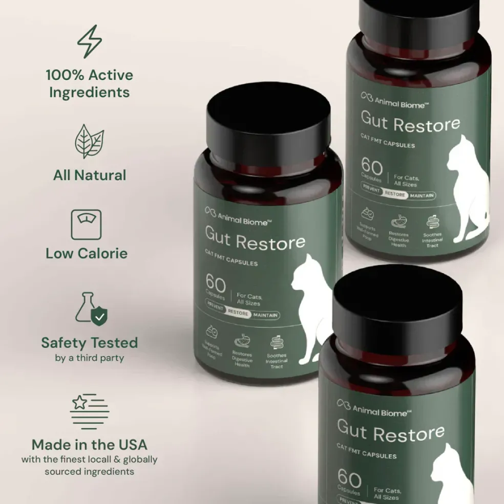 Kitty Biome Gut Restore Supplement FMT Capsules for Cats