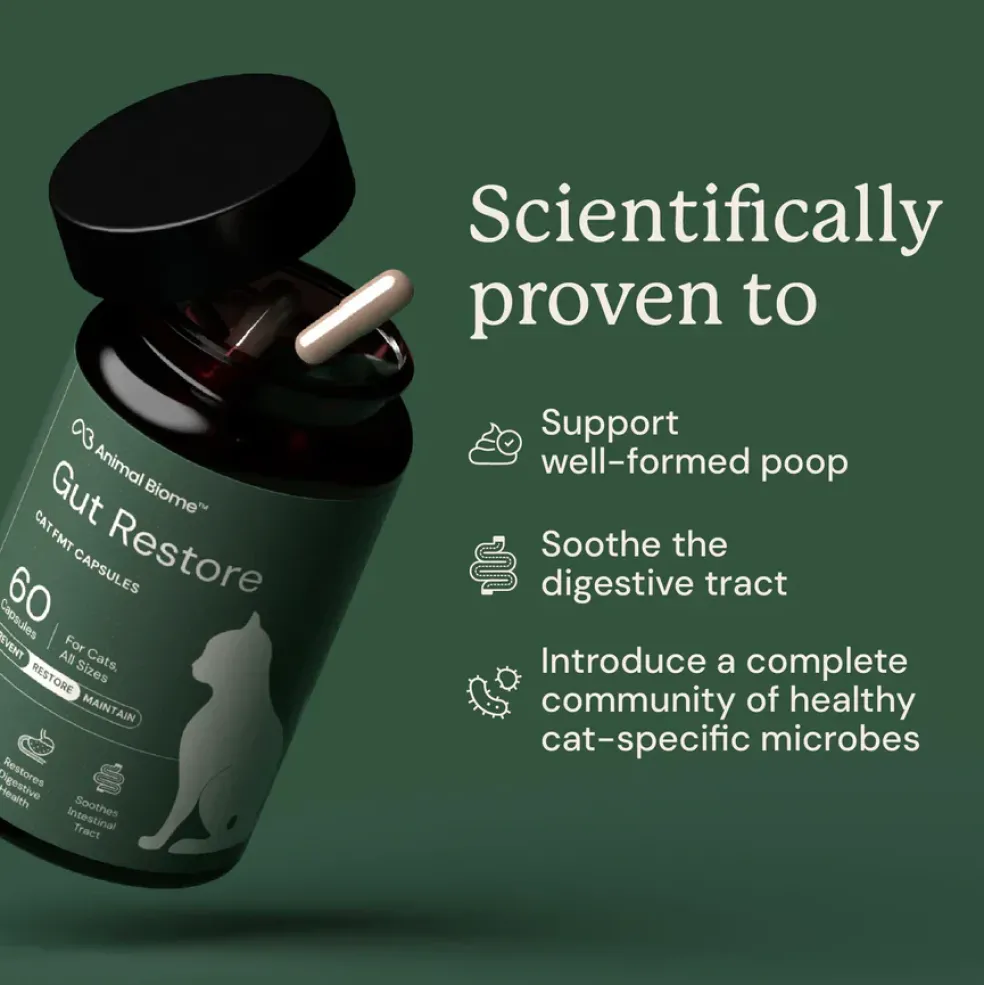 Kitty Biome Gut Restore Supplement FMT Capsules for Cats