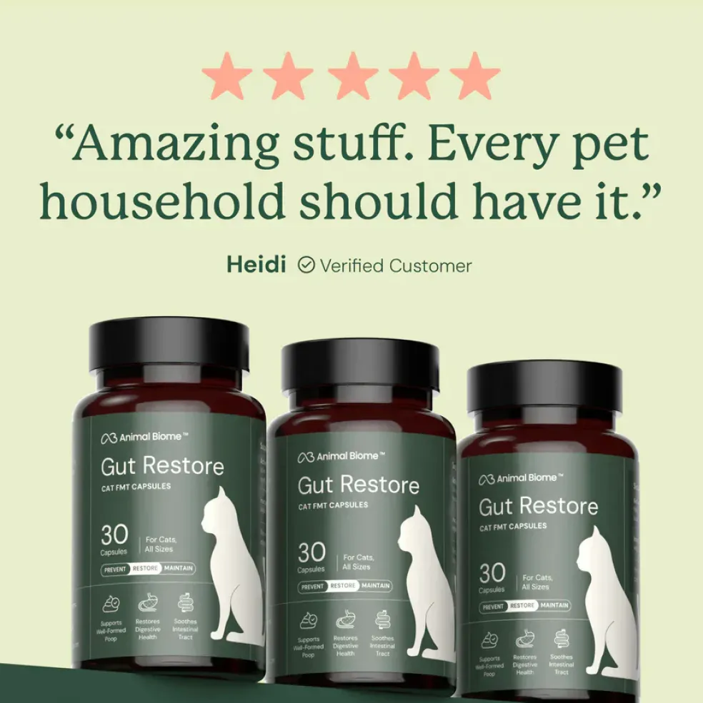 Kitty Biome Gut Restore Supplement FMT Capsules for Cats