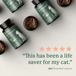 Kitty Biome Gut Restore Supplement FMT Capsules for Cats