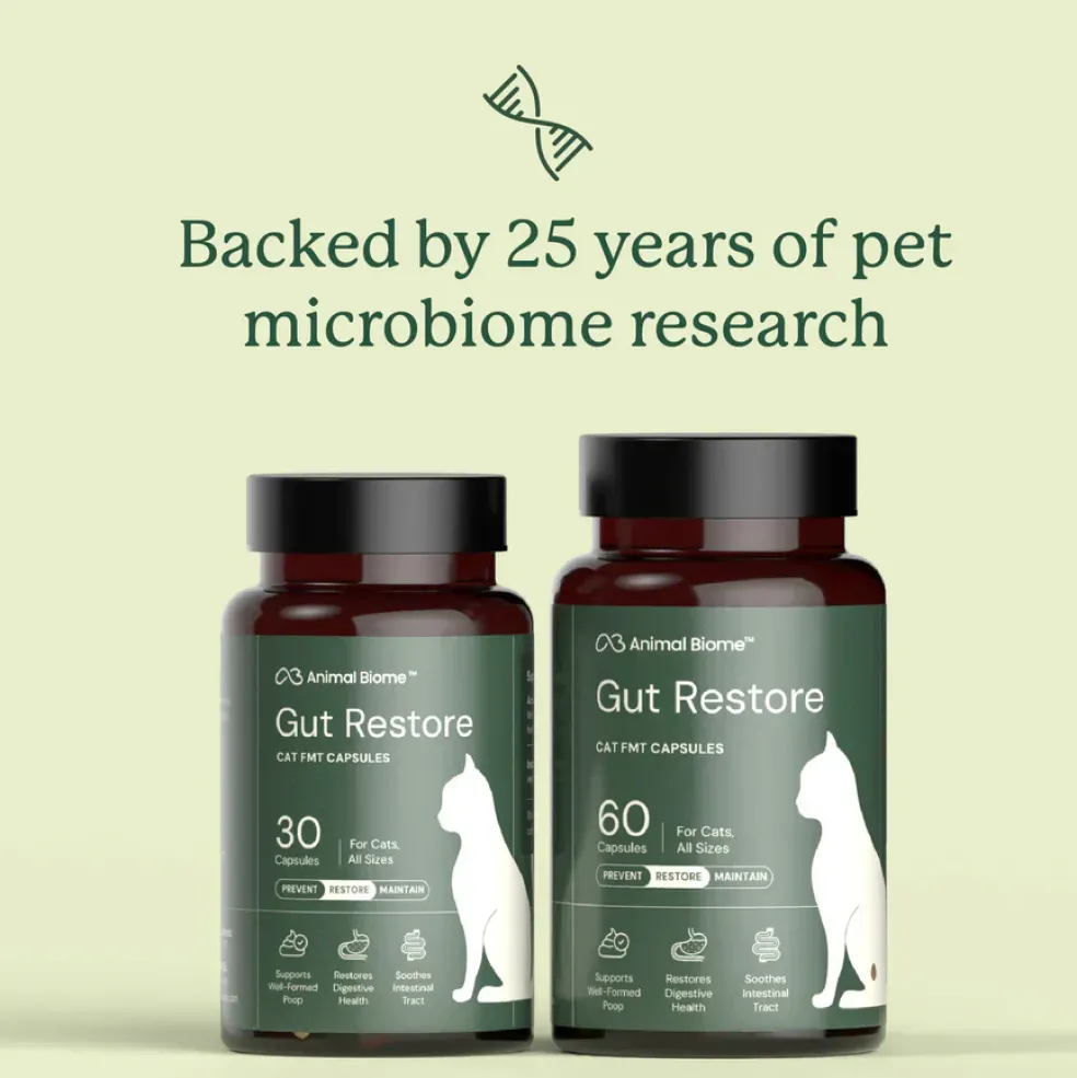 Kitty Biome Gut Restore Supplement FMT Capsules for Cats