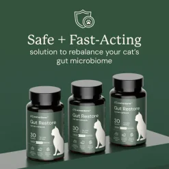 Kitty Biome Gut Restore Supplement FMT Capsules for Cats